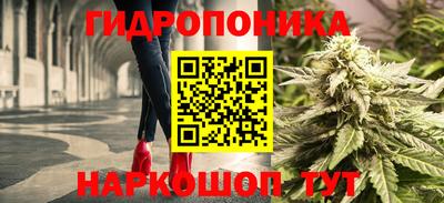 хмурый Гатчина