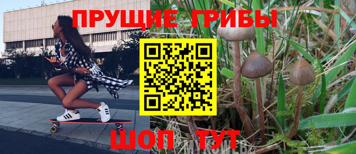 Галлюциногенные грибы мухоморы Волжск