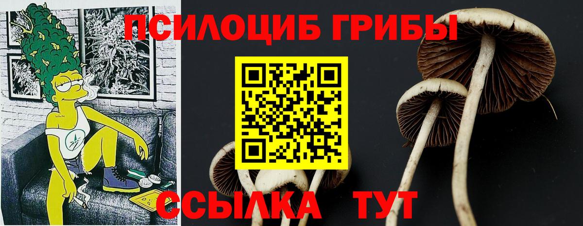Меф кристаллы  Канабис  ГАШ  Вход с VPN  Волжск  Кокаин  МЕФ  ГАШ  Бошки Шишки 