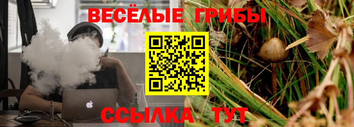 Галлюциногенные грибы прущие грибы  Вход с VPN  Волжск 